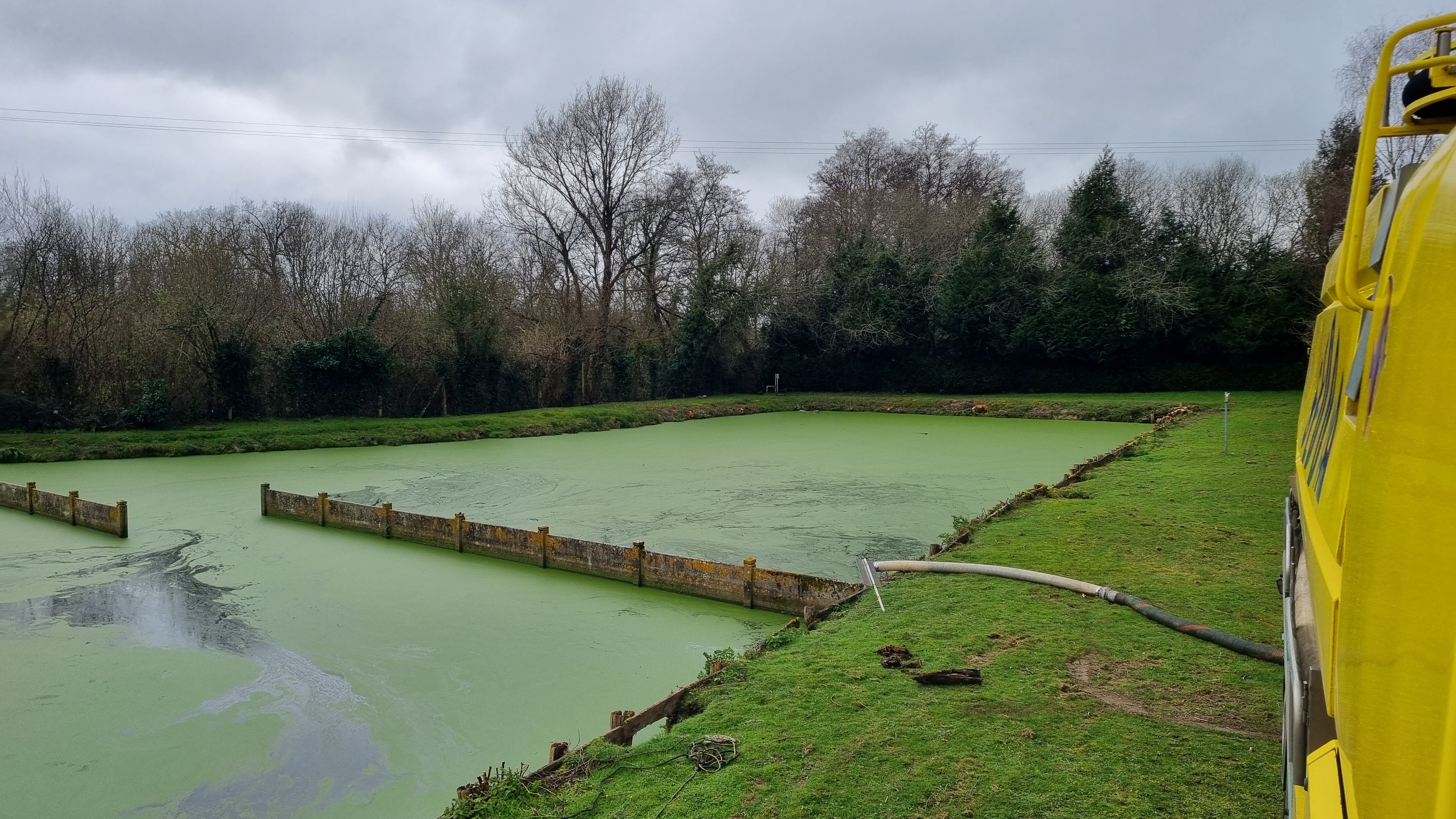 Ecrémage lentilles d’eau sur lagune d’épuration - Travaux d'assainissement collectif & non collectif, SEDDA à Rieux - 1
